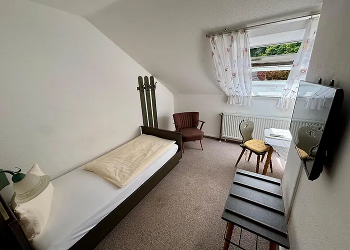 Guest house & Metzgerei Friedrich 2*